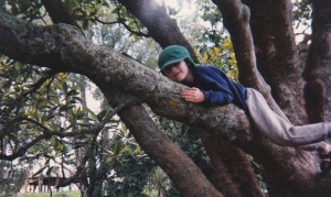 Tom climbing a tree