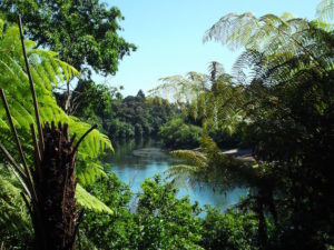 Waikato River
