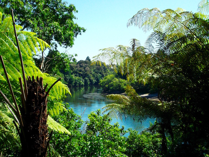Waikato River Hamilton