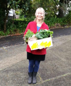 farmers market vege box