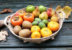 Winter fruit basket