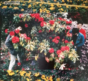 Sneaky Feelings Sentimental Education