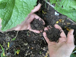 hands in the dirt