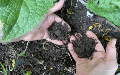Hands in the dirt