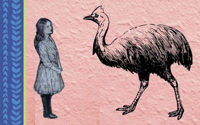 The Cassowary’s Daughter