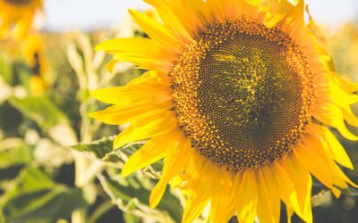 The worms are turning