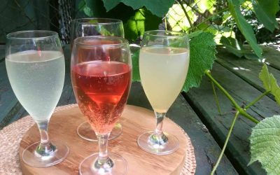 Fun and fizzy ways into herbalism